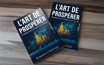 L'Art de Prospérer: Stratégies pour dompter vos finances. – Image 3